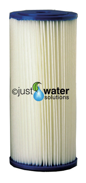 Davey 10inch Pleated Filter