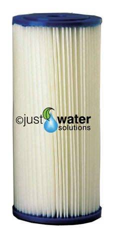 Davey 10inch Pleated Filter